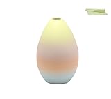 グラデーション 花瓶 IZUMIオリジナルお手入れ用ウエス セット (1)