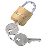 （まとめ） サンワサプライ eセキュリティ 南京錠小 鍵No.5 SLE-2L-5 1個 【×10セット】