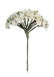 Darice V35694-29 Forget Me Not Cluster of Artificial Flowers Bouquet, Cream [並行輸入品]