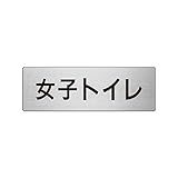 GR24643 室名表示板 女子トイレ アルミ【ヘアライン】 80×240×3厚