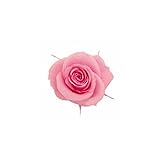 florever　フロールエバー　フレッシュルックスプレーローズ　シュガーピンク　8輪　Φ3.5～4.5cm　 プリザーブドフラワー　Spray Rose　Sugar Pink
