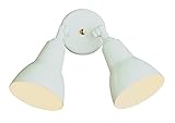 Trans Globe Lighting 6002 WH 2-Light Pocket Lantern, White [並行輸入品]