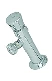 T&S Brass B-0800 Metering Faucet with Single Temperature, 1/2-Inch Npt Female Inlet and Rose Spray [