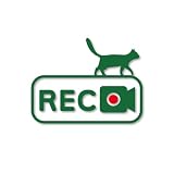 MAGICAL STORE 【全19色】猫 REC ドライブレコーダー カッティングステッカー｜カーステッカー｜車用・耐水耐候タイプ (グリーン, Mサイズ：縦10cm×横13cm)