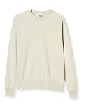 [プリントスター] スウェット 9.7オンス 裏毛 スタンダード トレーナー 00183-NSC メンズ オートミール L (日本サイズL相当)