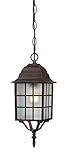 Nuvo Lighting 60/4912 Adams One Light Hanging Lantern 100 Watt A19 Max. Frosted Glass Rustic Bronze 