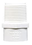 CharlotteパイプアダプタSCH 40 PVC 1 " x 3 / 4 "ホワイト