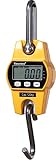 OCS-L High Accuracy Electronic Weighing Crane scale Digital Hanging Scale mini type LCD weighing kit
