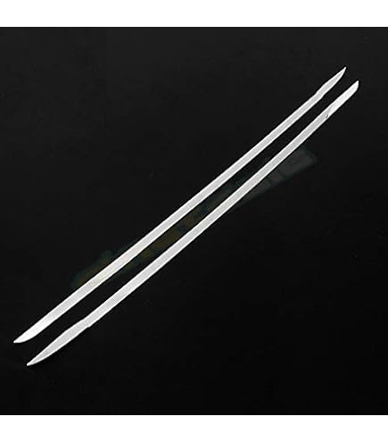 Amazon | BM ノア・ヴォクシー 80系 前/後期 フロントウィンドウトリム