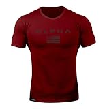 [SHANLIANG] ジムtシャツ ストレッチ 半袖 細身 フィットネス トレーニング 筋トレ スポーツ おしゃれ メンズ 速乾性 (L, レッド)