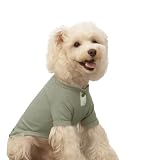 HOLYCAT 犬 服 犬 シャツ カジュアル ファッション 部屋着 ルームウェア 犬の服 可愛い 日焼け止め 脱毛保護 無地 犬用Tシャツ 室内 お出かけ 散歩 春夏秋 柔らかい 通気性 メッシュ 犬用ベスト 綿素材 速乾 グリーン M