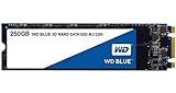 WD 内蔵SSD M.2-2280 / 250GB / WD Blue 3D / SATA3.0 / 5年保証 / WDS250G2B0B