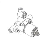 Porcher rp116ss Rough圧力バランスバルブシャワートリム、NO