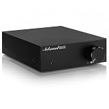Nobsound NS-21G モノラルサブウーファーアンプ 100W TPA3116搭載 小型ベースシェーカー用 RCA/AUX入力 NE5532オペアンプ ホームシアター/ゲーム向け