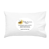Little Dreamers Toddler Pillow with Pillow Case, White, 13 x 18-Inches, 2 Items by Little Dreamers
