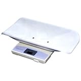 １５８４　愛情　ＷＨ×6個セット