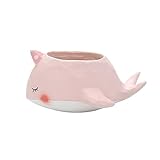 家の装飾品　動物の形　多肉植物鉢　植木鉢 2#