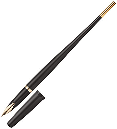 パイロット 万年筆 デスクペン DPN200BEF 黒軸 | 文具百貨