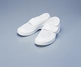 ゴールドウイン クリｰンシュｰズ 26cm PA9385/9-5014-09