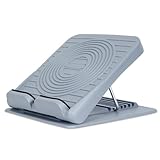 ライシン ソフト ストレッチボード 7段階 コンパクト 軽量 耐荷重 150kg アッシュグレー