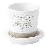 レタープランター ミニ植木鉢 ラウンド型 受皿付き 2号用 ホワイト 白