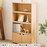 日本製 インテリアラック 60ワイド 扉付き カラーボックス 可動棚2枚 本棚 DVD・CD収納 多目的棚 オープンラック 収納ボックス 代引不可 ポイント10倍