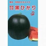 スイカ 種 【 黒ひかり 】 種子 小袋（約10粒）