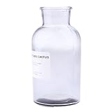 Fenteer ガラス花瓶　フラワーベース　ヨーロッパスタイル　オフィスデコレーション　ベッドルーム飾り　空のガラス瓶　エレガント　全5色　2サイズ - スモーキーグレー（L）