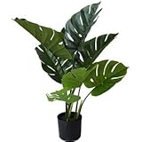 モンステラ(観葉植物)フェイクグリーン Small size