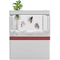 ★特価 小型観賞魚コンパクト水槽 水温調整可能 ライト付き ベタ 金魚 熱帯魚★ ☆特価 小型観賞魚コンパクト水槽 水温調整可能 ライト付き ベタ