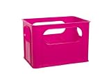dBb Remond 177158 Crate for 6 Feeding Bottles Translucent Pink by dBb Remond