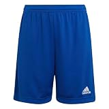 [アディダス] サッカー ショートパンツ Entrada 22 ショーツ キッズ チームロイヤルブルー(HG6291) 140 ハーフパンツ