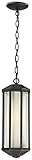 Z-Lite 526CH-ORB Cylex Outdoor Chain Light, Aluminum Frame, Oil Rubbed Bronze Finish and Matte Opal 