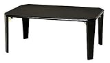 永井興産 ローテーブル ブラック 幅75×高さ32×奥行50cm 鏡面加工 折りたたみ リッチテーブル NK-755