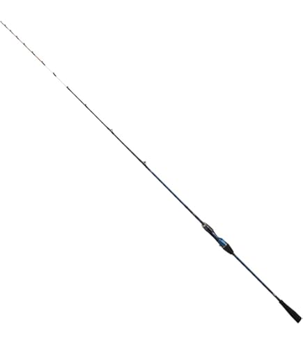 Amazon | ダイワ(DAIWA) 船竿 リーディング・V 73 M-190・V 釣り竿