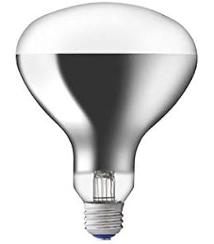 Amazon.co.jp: 岩崎電気 省電力形屋外投光器用ランプ 屋外用アイ