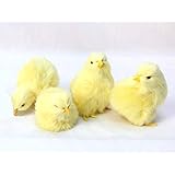 ひよこ置物 本物そっくり リアルな鳥 ひよこのぬいぐるみ ４羽セット