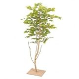タカショー グリーンデコ　屋内用　和風ミニブナ（人工植物/観葉植物） 90cm （GD-19）