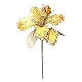 27 "ゴールドグリッターAmaryllis 7.5 " Flower