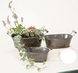 カントリーオーバルS