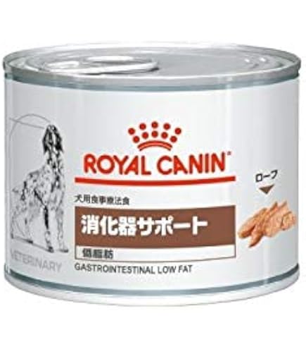  CANIN 消化器サポート 消化器サポート （猫用 ドライ） | Royal Canin JP