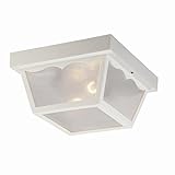 Acclaim P4902WH Durex Collection 2-Light Ceiling Mount Outdoor Light Fixture, Gloss White by Acclaim