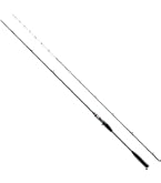 Amazon | ダイワ(DAIWA) 20 ライトヒラメX M-240・R | ダイワ(DAIWA