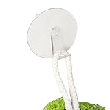 interDesign Suction フック 28600