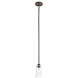 43060OZ Braelyn 1LT Mini-Pendant Olde Bronze Finish with Clear Seedy Glass [並行輸入品]