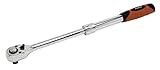 Ampro T29771 1/2-Inch Drive Standard Extendable Ratchet [並行輸入品]