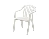 MZ5953528 ｶﾞｰﾃﾞﾝﾌｨｼﾞｰｱｰﾑﾁｪｱﾎﾜｲﾄ560×600×800mm テラモト