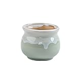 シンプルな多肉植物フラワーポットフローグレーズポットクリエイティブセラミックフラワーポット_A22