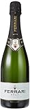 フェッラーリ ブリュット [ スパークリング 辛口 イタリア 750ml ]