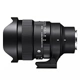 シグマ 15mm F1.4 DG DN DIAGONAL FISHEYE Art ソニーE用